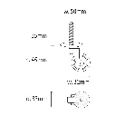 L-C-CPS32-BRASS.Brass-Castor-Plate-Screw.webp