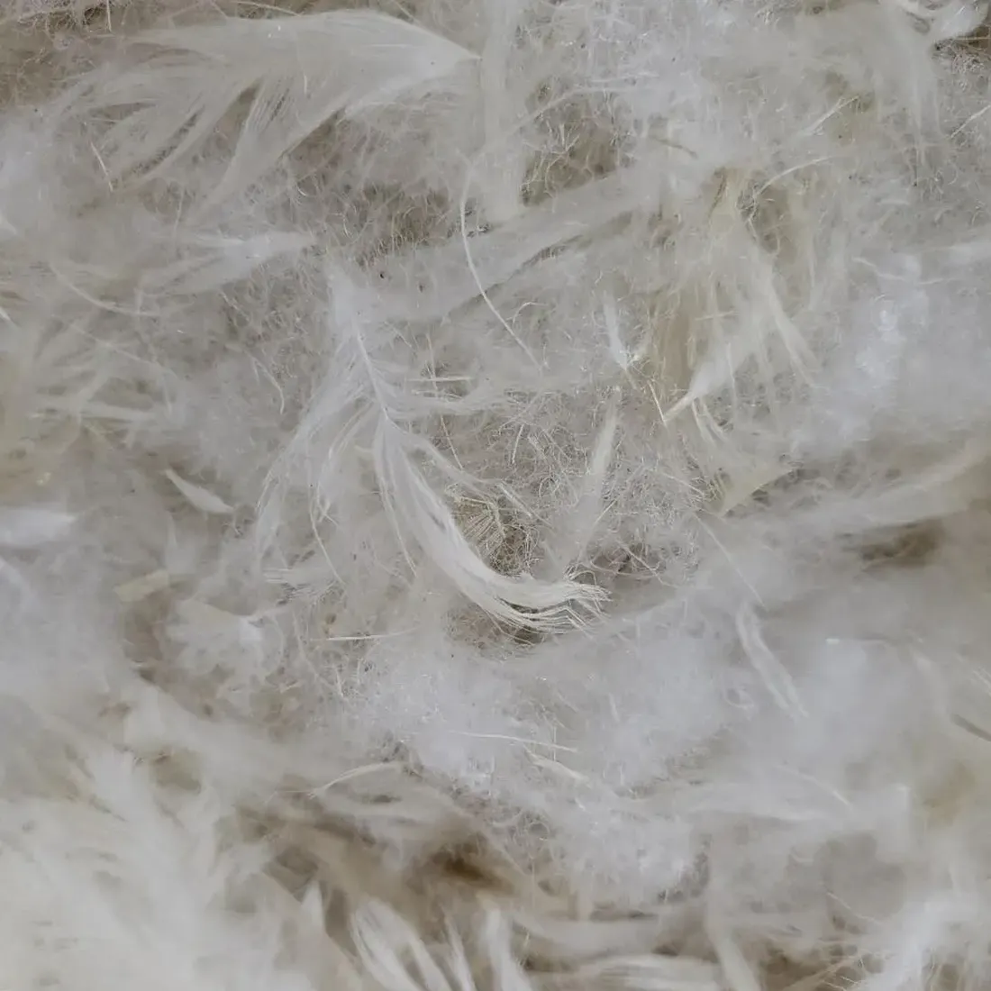 Feather+Fibre Mixed Blend Loose Fill (10kg Bag)