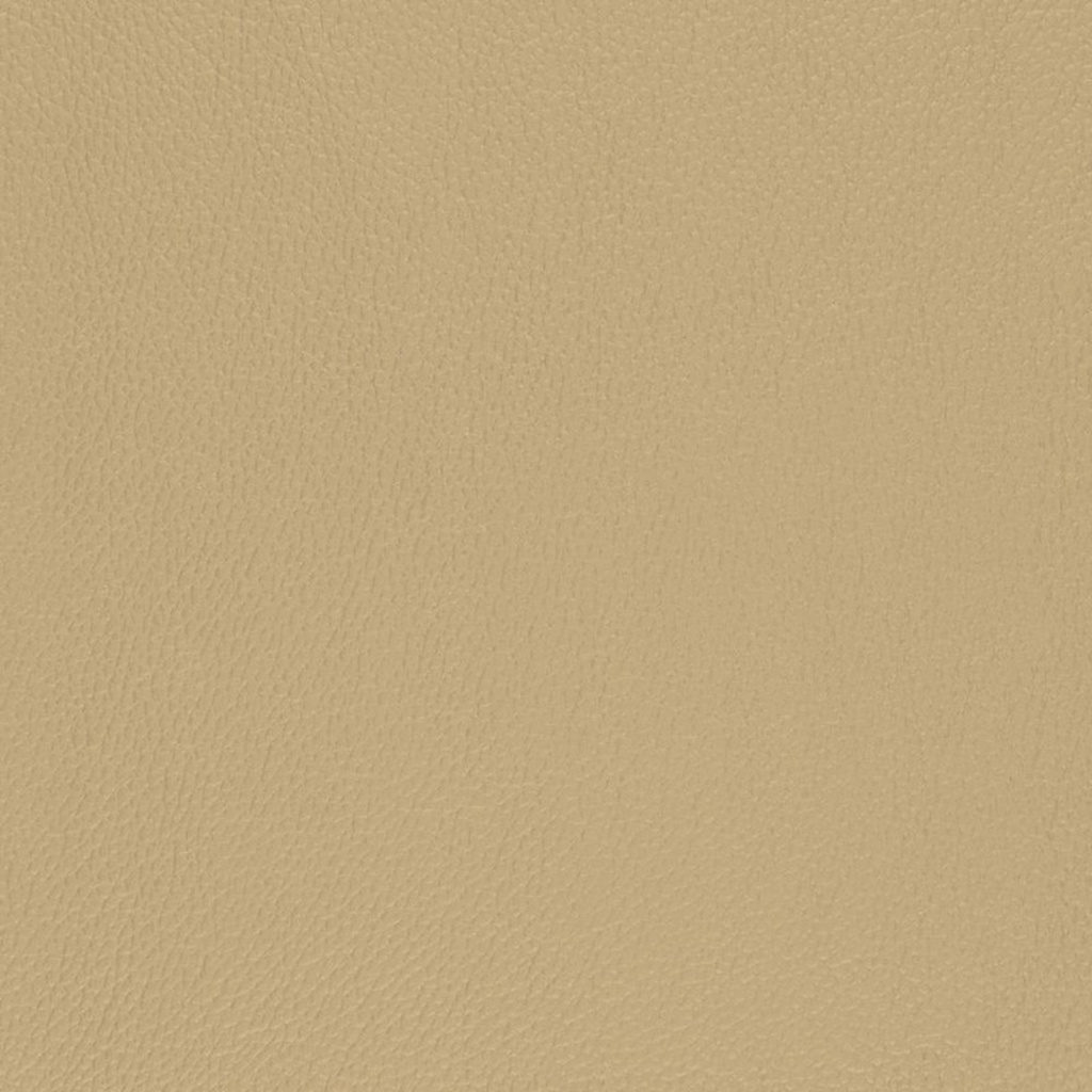 Pacifica HIDE Marine Vinyl