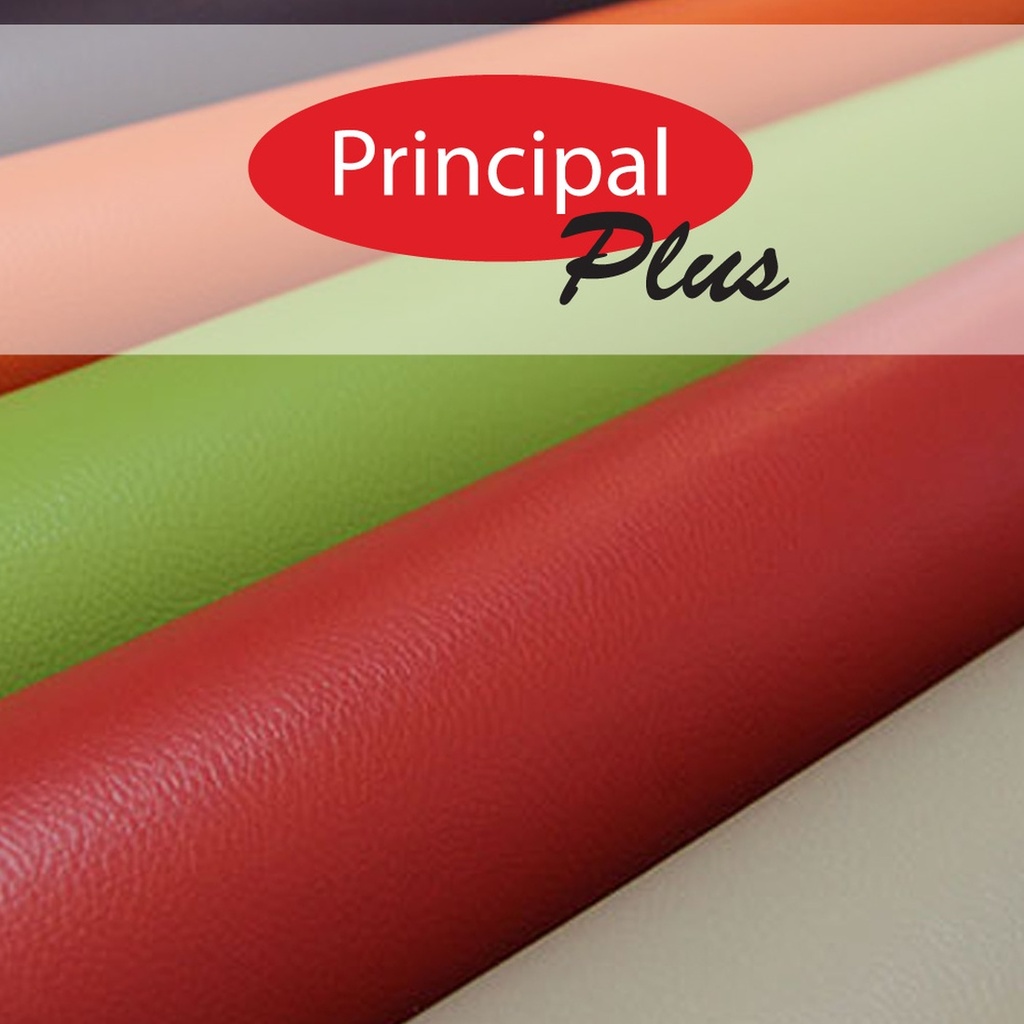 Principal Plus Vinyl