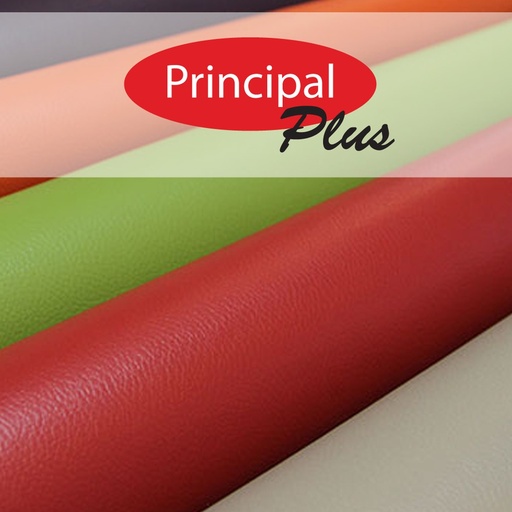 Principal Plus Vinyl