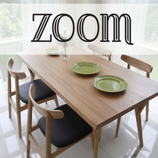 ZOOM Budget Vinyl